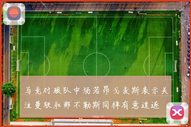 马竞对狼队中场若昂戈麦斯表示关注曼联和那不勒斯同样有意追逐